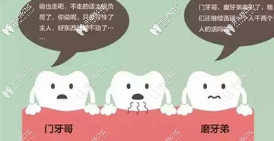 拔掉第二磨牙不及時(shí)修復(fù)，危害遠(yuǎn)比你想象中的大